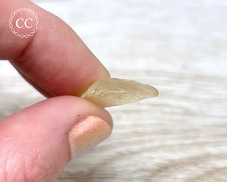 Libyan Desert Glass #6