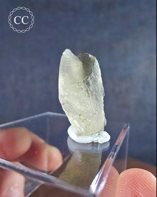Libyan Desert Glass #12