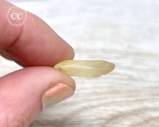 Libyan Desert Glass #6