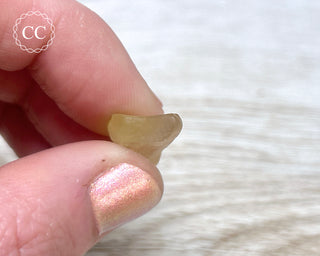 Libyan Desert Glass #6