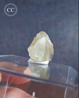 Libyan Desert Glass #13