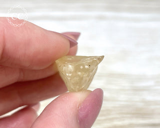 Libyan Desert Glass #11