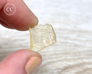 Libyan Desert Glass #10