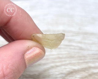 Libyan Desert Glass #10
