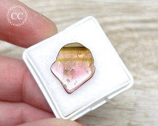 Liddicoatite Tourmaline Slice #8
