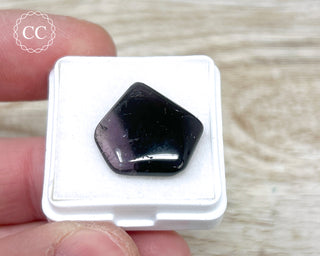 Liddicoatite Tourmaline Slice #9