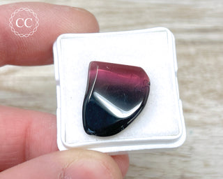 Liddicoatite Tourmaline Slice #10