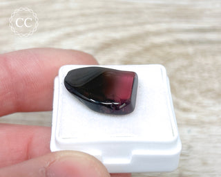 Liddicoatite Tourmaline Slice #10