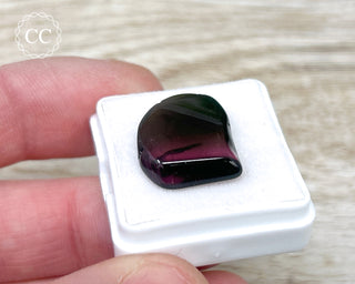Liddicoatite Tourmaline Slice #10