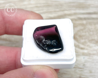 Liddicoatite Tourmaline Slice #10