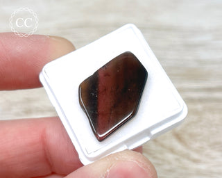 Liddicoatite Tourmaline Slice #2
