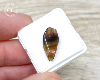 Liddicoatite Tourmaline Slice #11