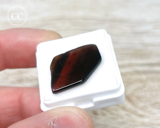 Liddicoatite Tourmaline Slice #2