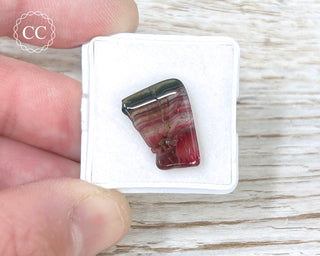 Liddicoatite Tourmaline Slice #12