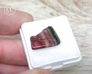 Liddicoatite Tourmaline Slice #12