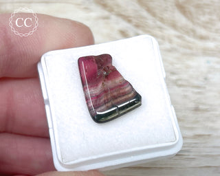 Liddicoatite Tourmaline Slice #12