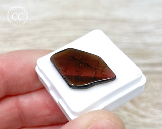 Liddicoatite Tourmaline Slice #2