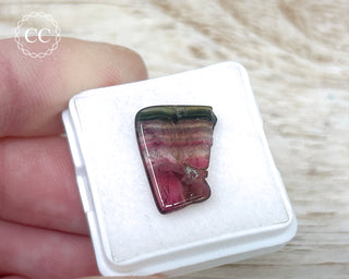 Liddicoatite Tourmaline Slice #12