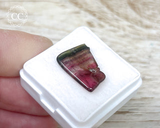 Liddicoatite Tourmaline Slice #12