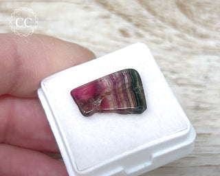Liddicoatite Tourmaline Slice #12