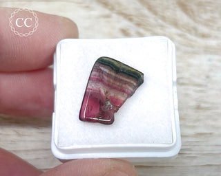 Liddicoatite Tourmaline Slice #12