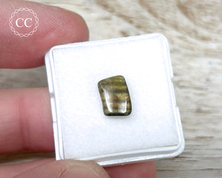 Liddicoatite Tourmaline Slice #13