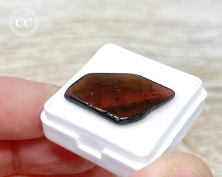 Liddicoatite Tourmaline Slice #2