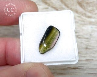 Liddicoatite Tourmaline Slice #14