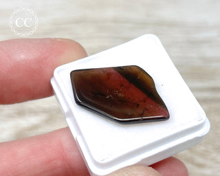 Liddicoatite Tourmaline Slice #2