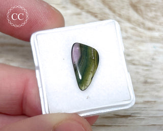 Liddicoatite Tourmaline Slice #15