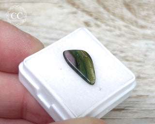 Liddicoatite Tourmaline Slice #15