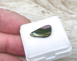 Liddicoatite Tourmaline Slice #15