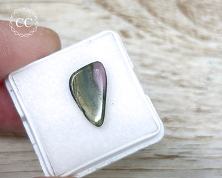 Liddicoatite Tourmaline Slice #15