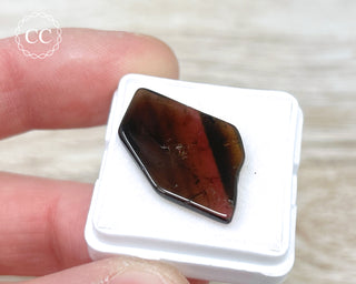 Liddicoatite Tourmaline Slice #2