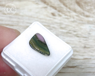 Liddicoatite Tourmaline Slice #15