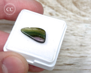 Liddicoatite Tourmaline Slice #15