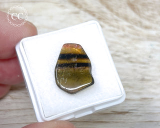 Liddicoatite Tourmaline Slice #16