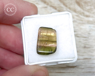 Liddicoatite Tourmaline Slice #17