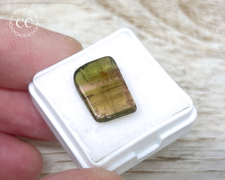 Liddicoatite Tourmaline Slice #17
