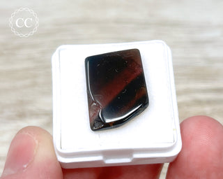 Liddicoatite Tourmaline Slice #3