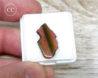 Liddicoatite Tourmaline Slice #18