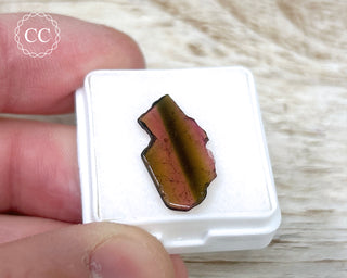 Liddicoatite Tourmaline Slice #18