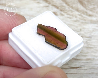 Liddicoatite Tourmaline Slice #18