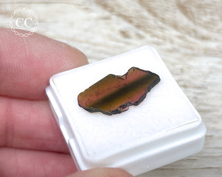 Liddicoatite Tourmaline Slice #18