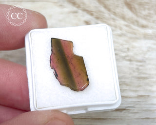 Liddicoatite Tourmaline Slice #18