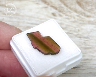 Liddicoatite Tourmaline Slice #18