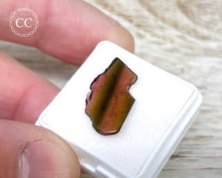 Liddicoatite Tourmaline Slice #18