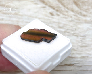 Liddicoatite Tourmaline Slice #18