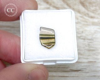 Liddicoatite Tourmaline Slice #20
