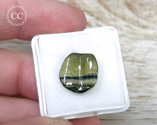Liddicoatite Tourmaline Slice #21